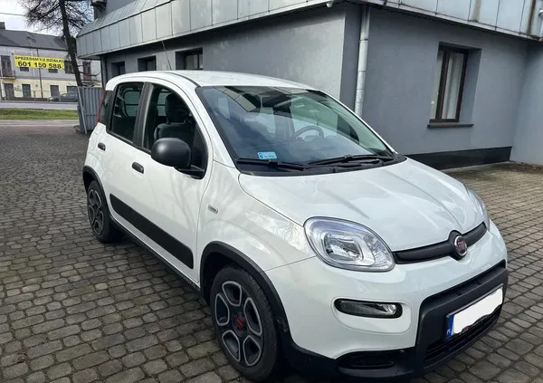 mazowieckie Fiat Panda cena 38500 przebieg: 24000, rok produkcji 2021 z Warszawa